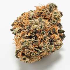 How reliable are Budpop reviews?