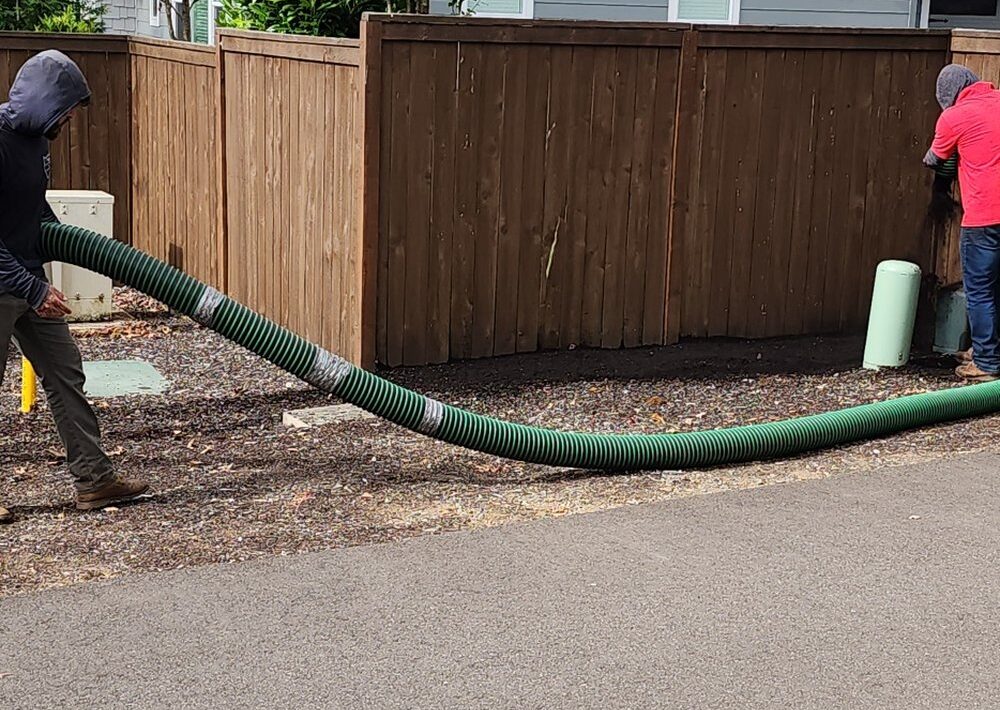 Supporting Tree and Shrub Growth Using Alpine Bark Blowing Throughout Every Season